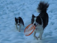 /album/fotogalerie/a157079-179363762075162-100000046172983-612501-4284191-n-jpg1/