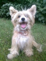 /album/fotogalerie/a34752-144248638920008-100000046172983-411112-2847455-n-jpg1/